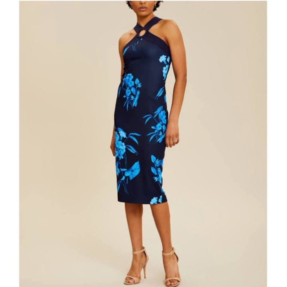 NWT Ted Baker Floral Dress: Fantasia Printed Bodycon Dress